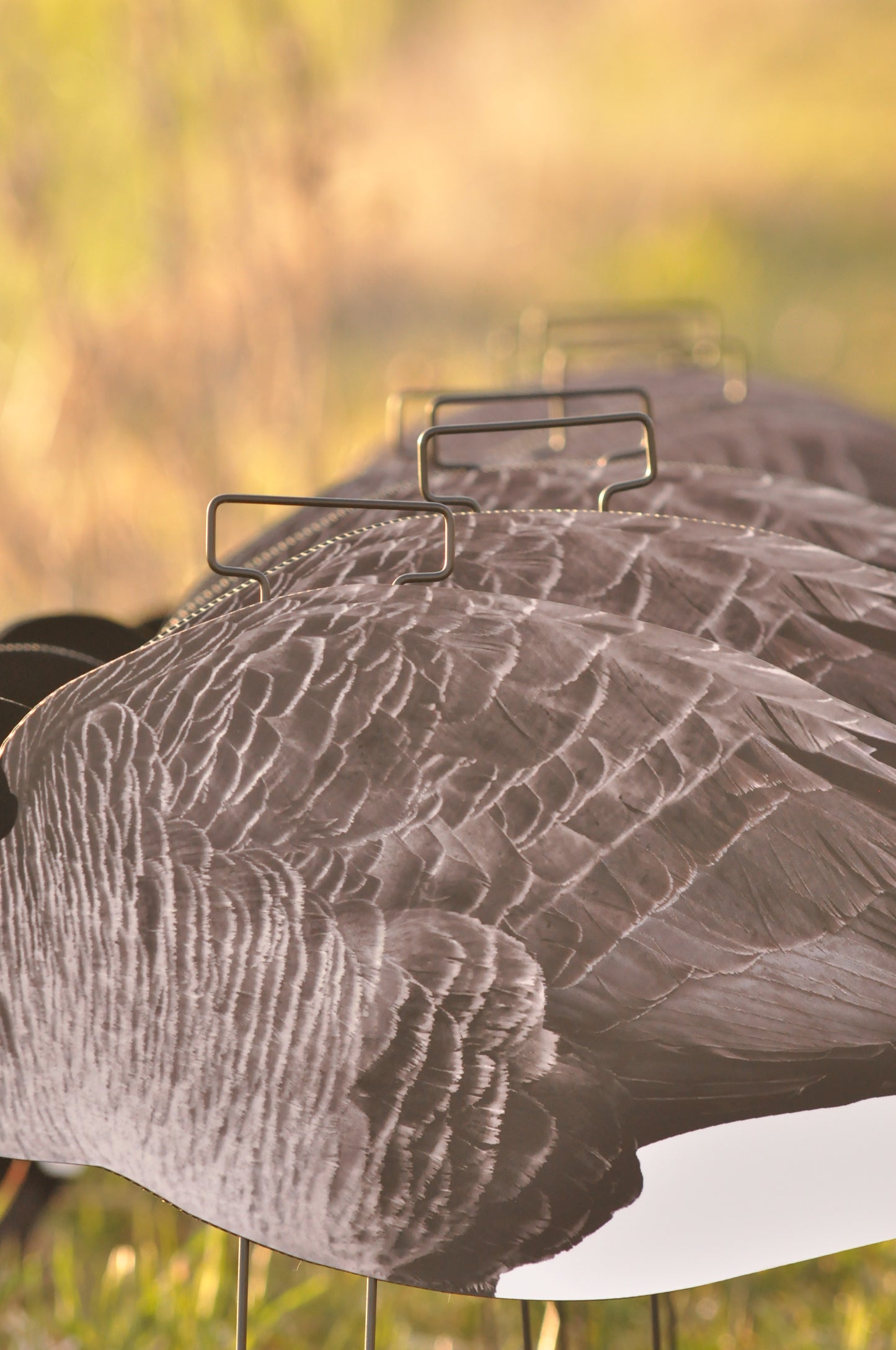 Single-Spread Pack (HV Series) | Goose Silhouettes