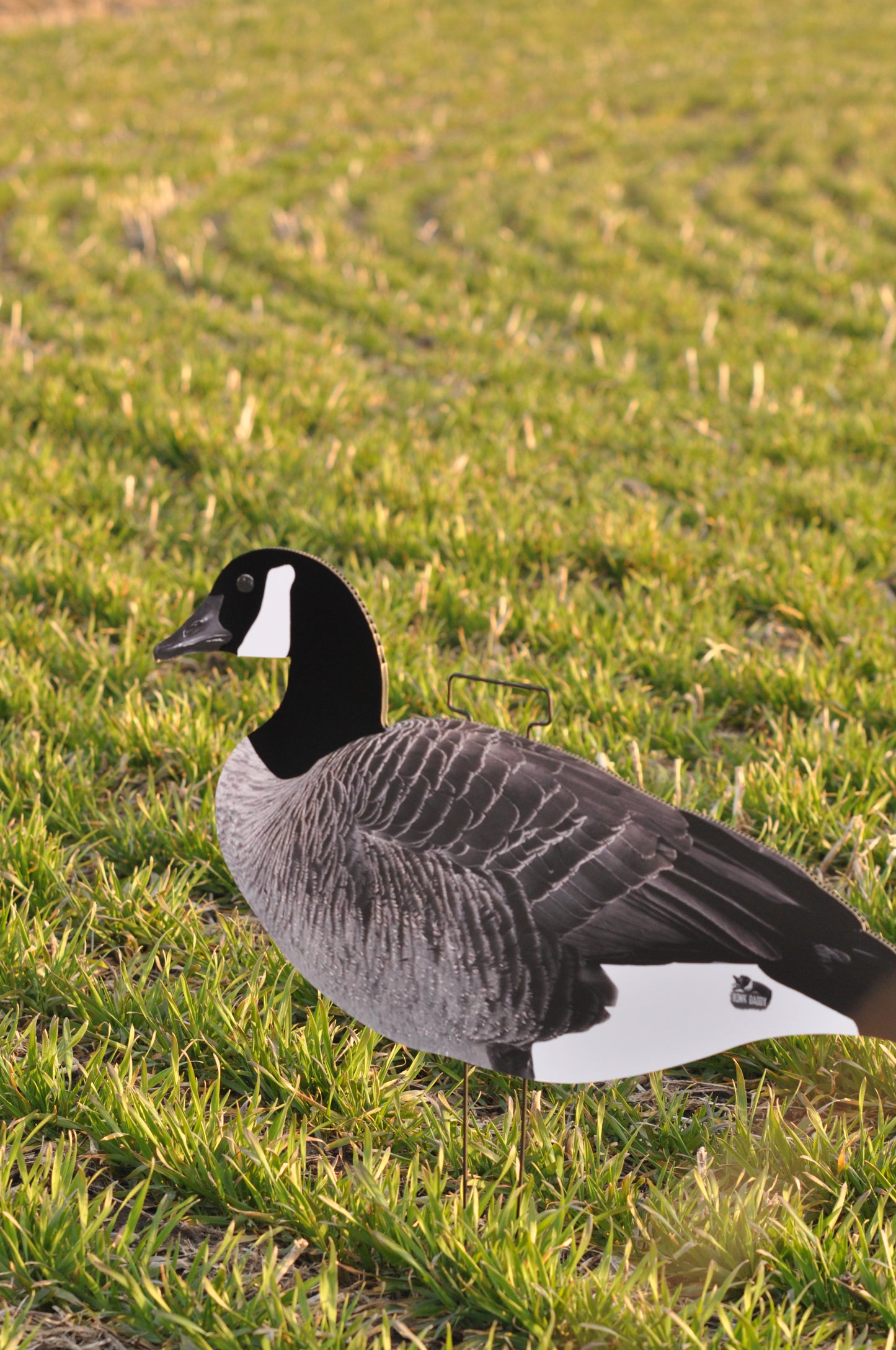 Single-Spread Pack (HV Series) | Goose Silhouettes