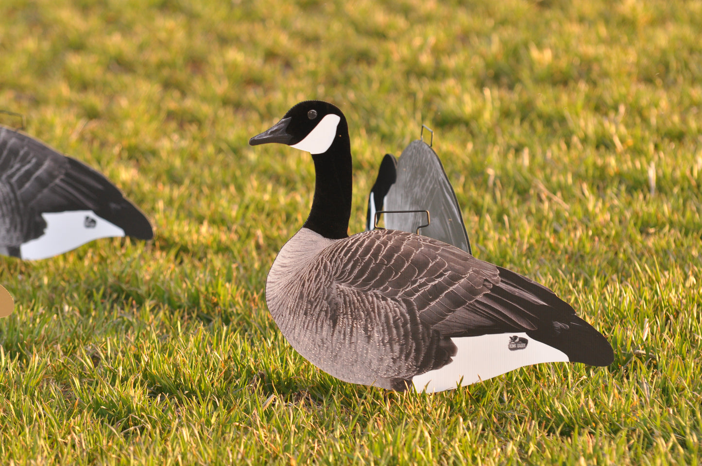 Single-Spread Pack (HV Series) | Goose Silhouettes