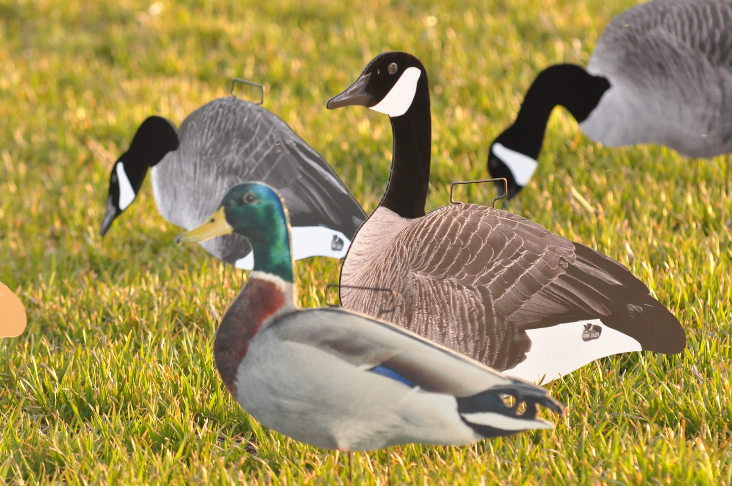 *Pre-Order* 1 Dozen (Ultimatte Mallard) | Duck Silhouettes