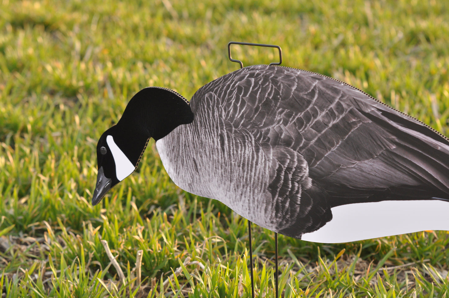 Bulk Pack (HV Series) | Goose Silhouettes