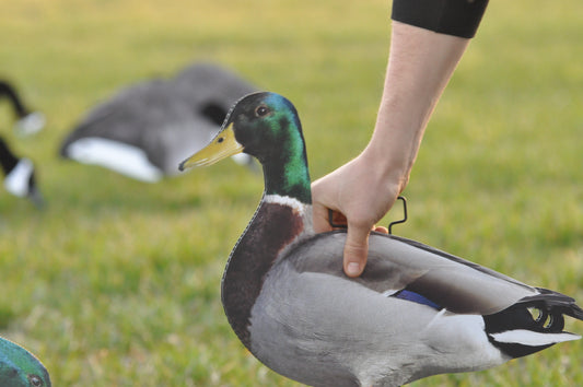 *Pre-Order* 1 Dozen (Ultimatte Mallard) | Duck Silhouettes